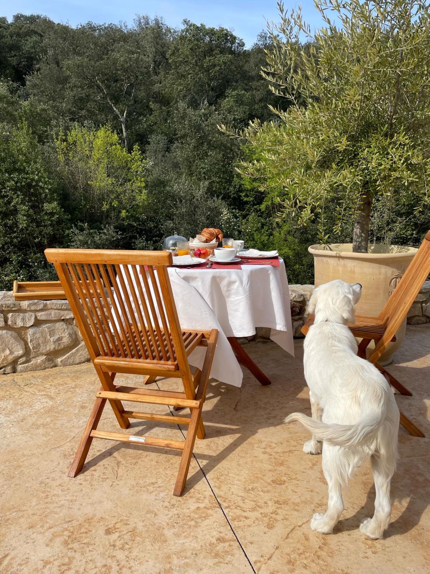 Bed and Breakfast Mas de Kyoto Nîmes-Uzès Dions Esterno foto